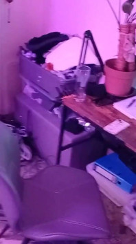 Desperat att kissa och alla badrum ockuperade