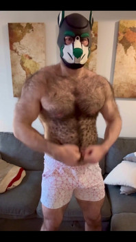 Eine dumme welpen-Pec-Seite ist verletzt, so dass sie nicht schwer für Tricep oder Brust heben kann