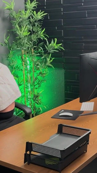 Iluvshauna zerżnięta na biurku w pracy Bts