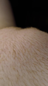 Je Te Montre Ma Grosse Chatte En Gros Plan
