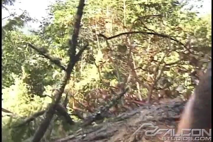 Falcon Studios: Leñador: delitos contra la naturaleza