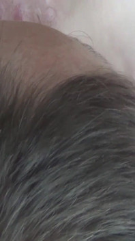 Pompalanır
