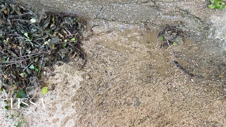 Lissa Brown: Anal di luar ruangan, kotor dengan rimming dan pantat ke...