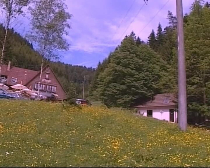 GERMAN PORN CLASSICS: Pension Almrausch 2