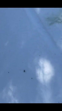 Pissing During a Nordic Ski Session