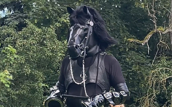 Dominatrix Frida: Petplay cart pulling 2 (189)