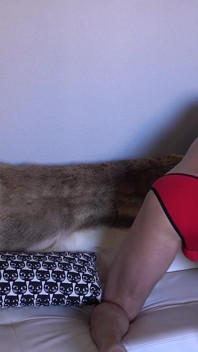 Lick My Ass