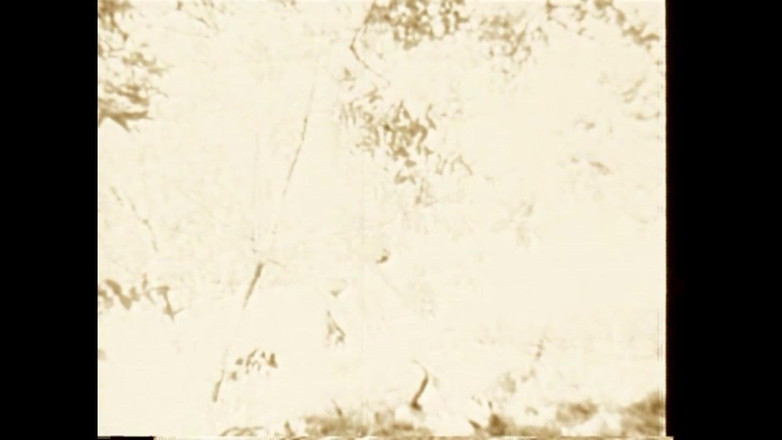 The Unforgettable: 在燃烧的草地上