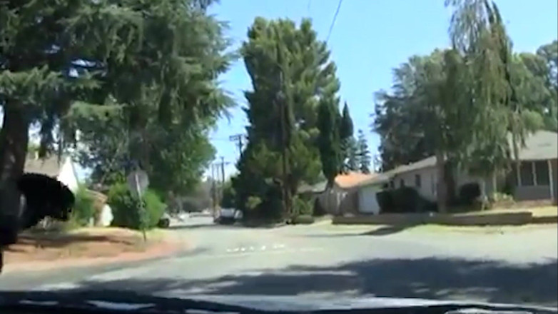 Get Your Fix: Big Tit Girl Works the Gloryhole Like a Pro