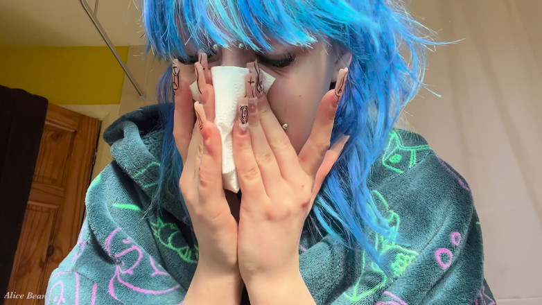 Alice Bean: Hayfever Honks