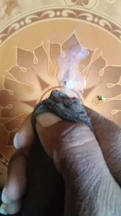 Bong indiano si masturba per la moglie del amico tamil con un sacco di sperma