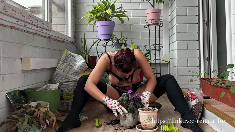 Renata Fox: My Neighbours Have a Premium Subscription to My Balcony