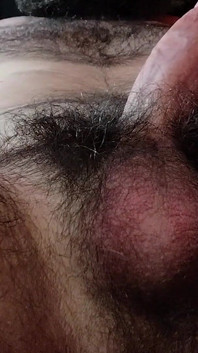 Chlupatá Zblízka Cock Dick Balls Zadek Výstřik