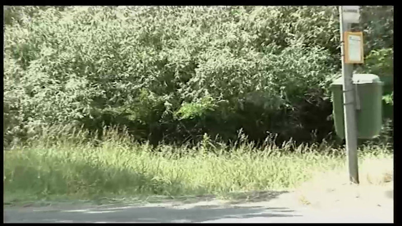 Muschi movie official: Voyeur lesa