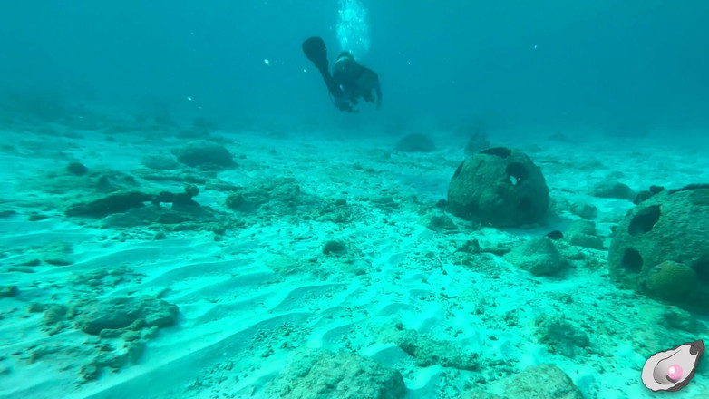 Mistress Pink Pearl: スーパーガール、ボネールで一番欲情なタコと出会う