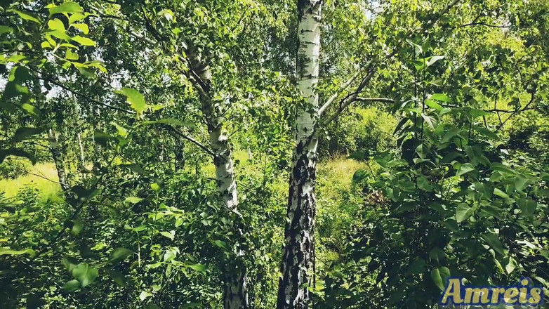 Amreis: Heißes sperma im sommer. Teil 1. eine Pause während eines langen...