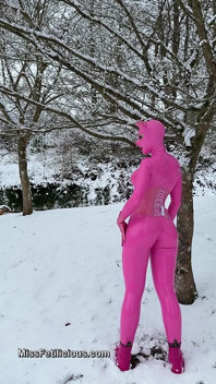 Snow Piggy