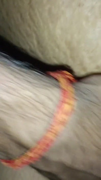 Desi bhabhi și dever video sex fierbinte cu audio hindi
