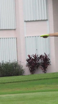 This Is Non-sexual, but It Is What Bailey Loves to Do While in Fl. One of Her Biggest Interests!