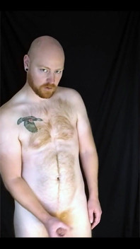 You Like Lookin' at This Fuzzy Ginger Fella?