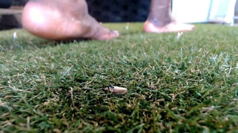 Maeling: Niezamierzona wyburzenie wioski, stopić je wszystkie, giantess bare feet tiny...