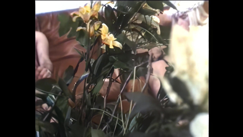 Vintage Megastore Full hd: 여러 듀오가 매우 흥분한 상태입니다