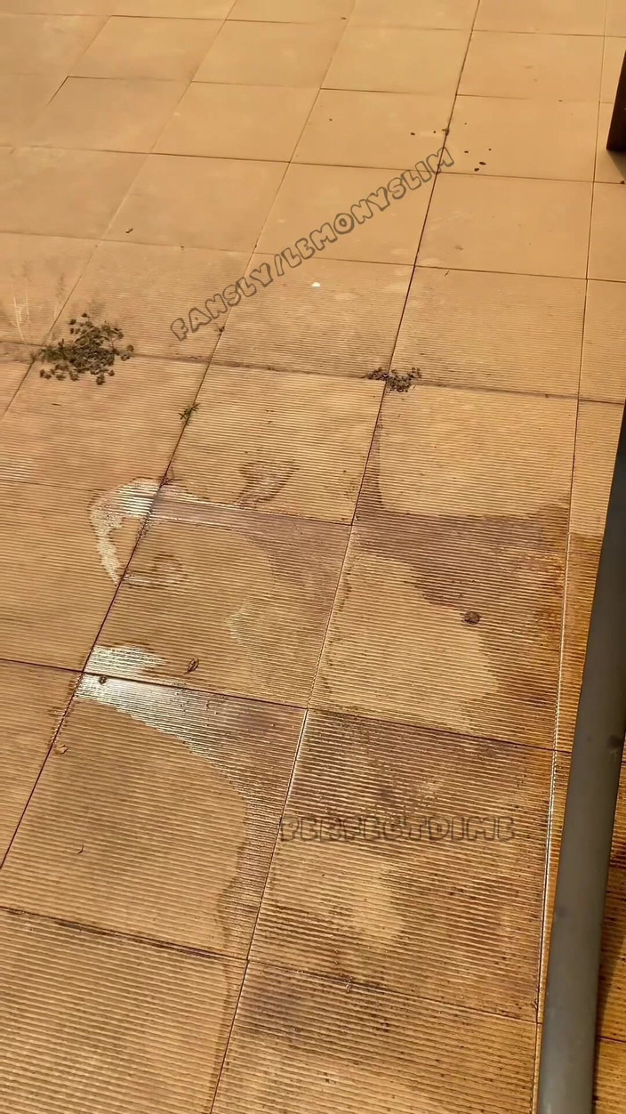 Perfectdime: लड़की बाहर चुदाई करती है