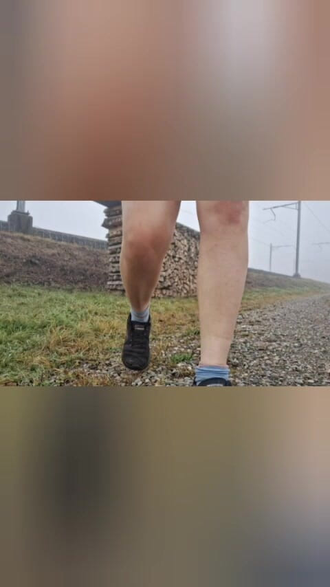 Swissapple: 산타 클로스를 찾아