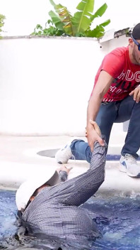 Keldai Besar Dan Pembantu Perkhidmatan Terangsang Mengambil Peluang Untuk Menggoda Dan Bercinta Bosnya Apabila Mereka Berada Di Rumah Bersendirian