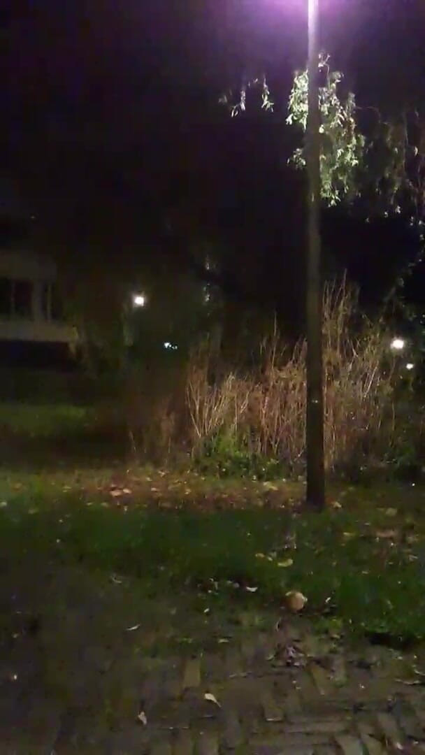 Slutboyben: Sürtükboyben cam4 beyin sikli açık havada domuz halka açık cam4...