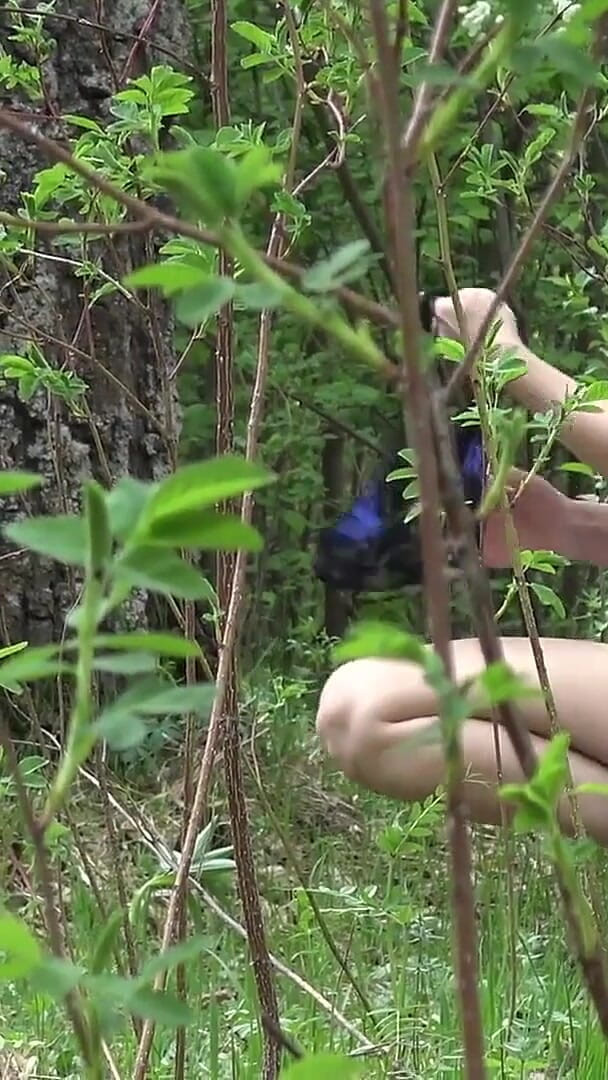 Flashing My Pussy in the Woods (Kristina Slut) Flashing My Pussy in the Woods (Kristina Slut)