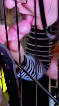 Caged Bitch Feeding Time