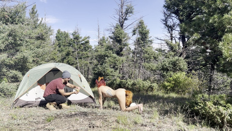 MYA Pleasure: Ormanda bir tilki