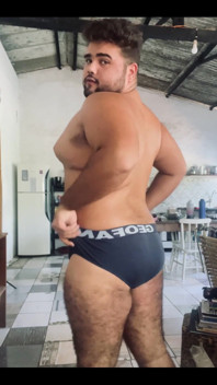 Solo Bear