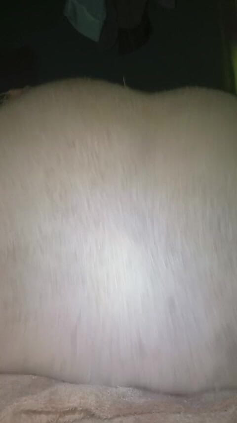 Badman4606: Schwarzer ebenholz-freaky