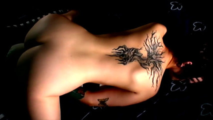 AltPorn4U: Striped Cat