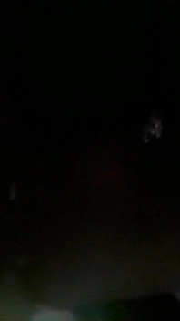Vídeo viral da selva