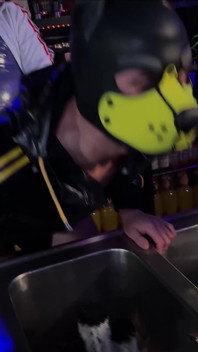 Enguias fodem no fim de semana - preparty