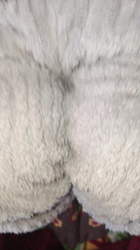 Privirea pizdei sexy a surorii mele vitrege este atât de frumoasă. Fute-l