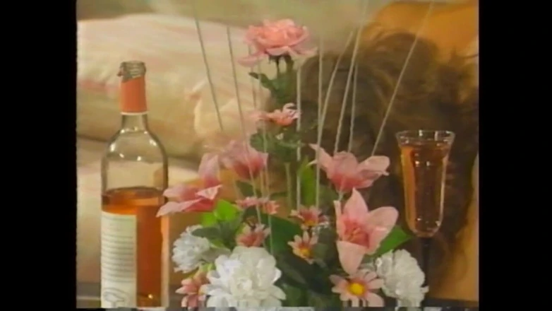 Vintage megastore: His Male Friend Visited Her to Have Sex and Fuck...