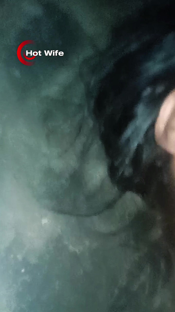 Jhon Hamster: Ma femme sexy