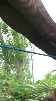 Tied to tree humiliated and sucking dick