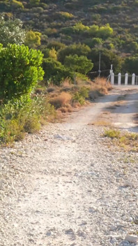 नंगे पैर की मॉर्निंग वॉक पर गीली पसीने की पैंटी और पैंटी