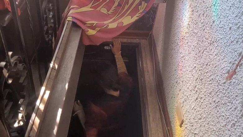 Paty Bumbum: Gefickt Im Königlichen Schlafzimmer Von Königin Jesebel