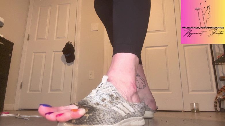 Peppermint Giantess: 67 Zeiță Torțe și tăieturi Tiny Dimensiunea 7 adidași | Distrugere totală