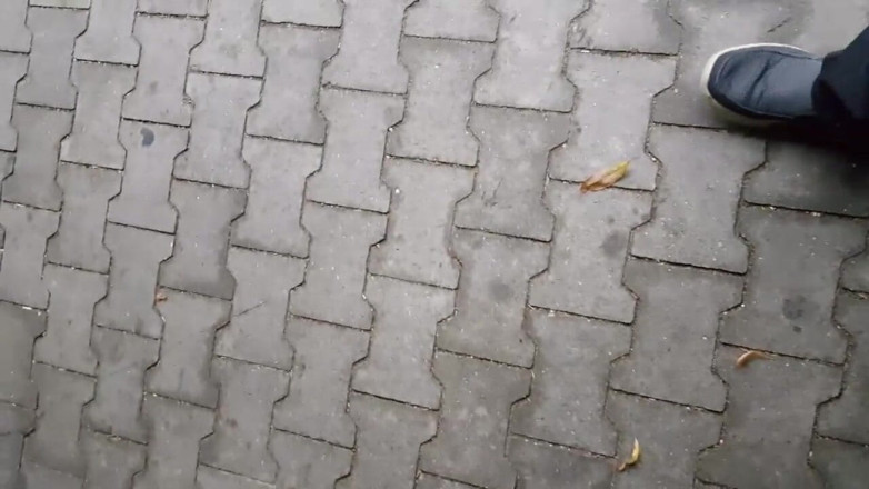Xviewer: Rainy day