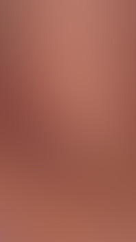 Dianne Fox of Internaldrive