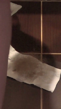 Mi Esposa Madura Se Corta El Vello Y Recoge El Vello Púbico.