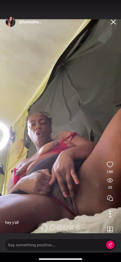 Harley Harper: Casi chorros en mi ipad