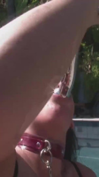 Two naughty chicks get anally fucked and toyed